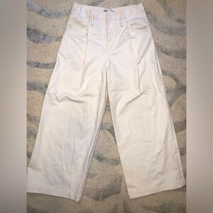 Zara Wide Leg Pleated Stretch Trouser Pants